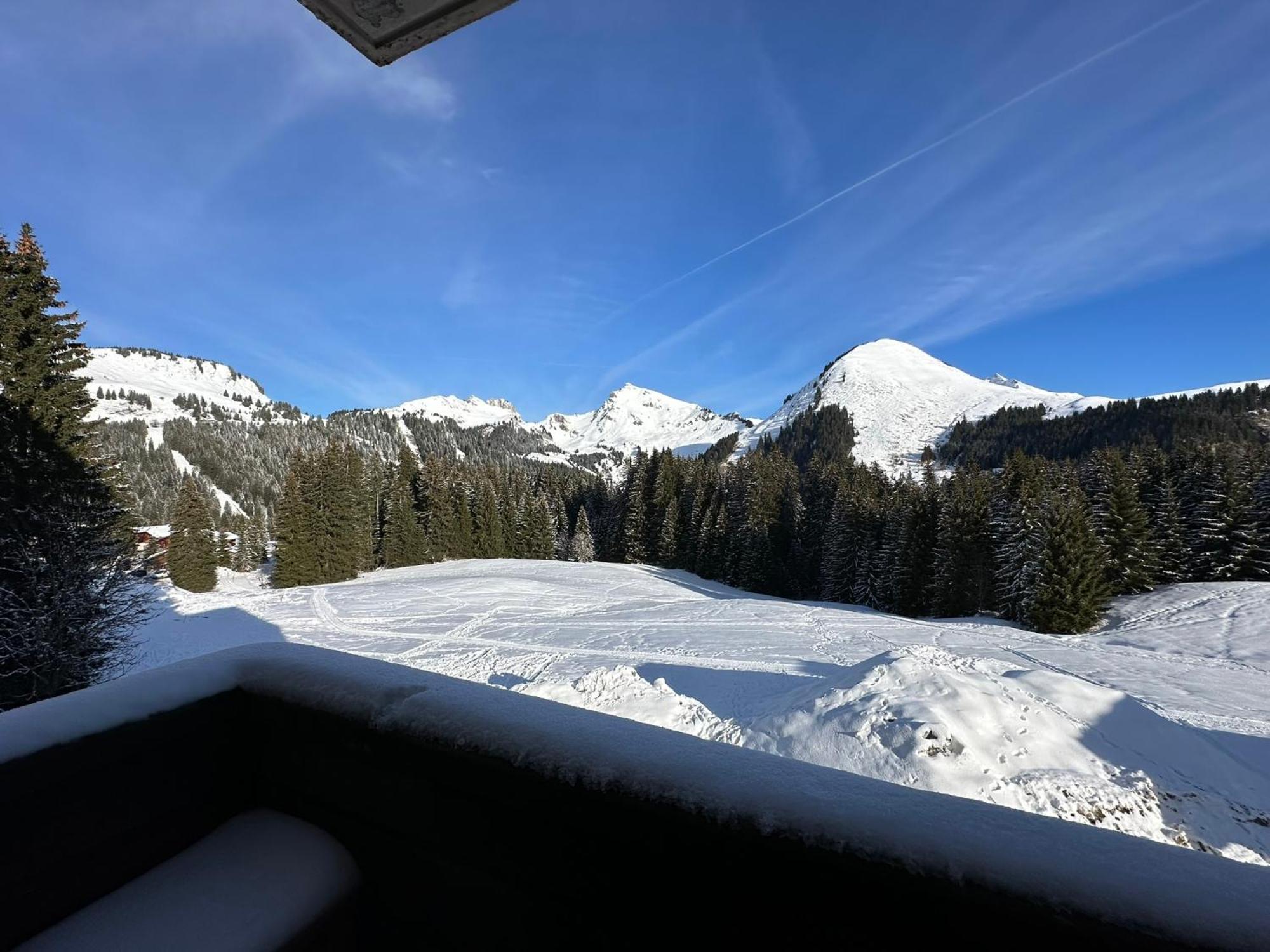 Studio Au Coeur Du Praz-De-Lys - Les Pralyssimes ル・プラ・ド・リ エクステリア 写真