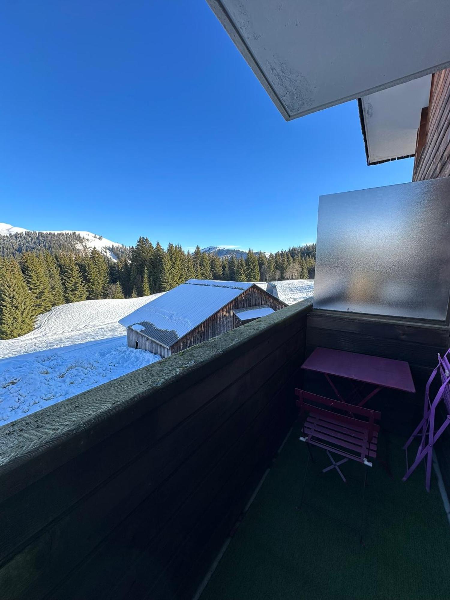 Studio Au Coeur Du Praz-De-Lys - Les Pralyssimes ル・プラ・ド・リ エクステリア 写真