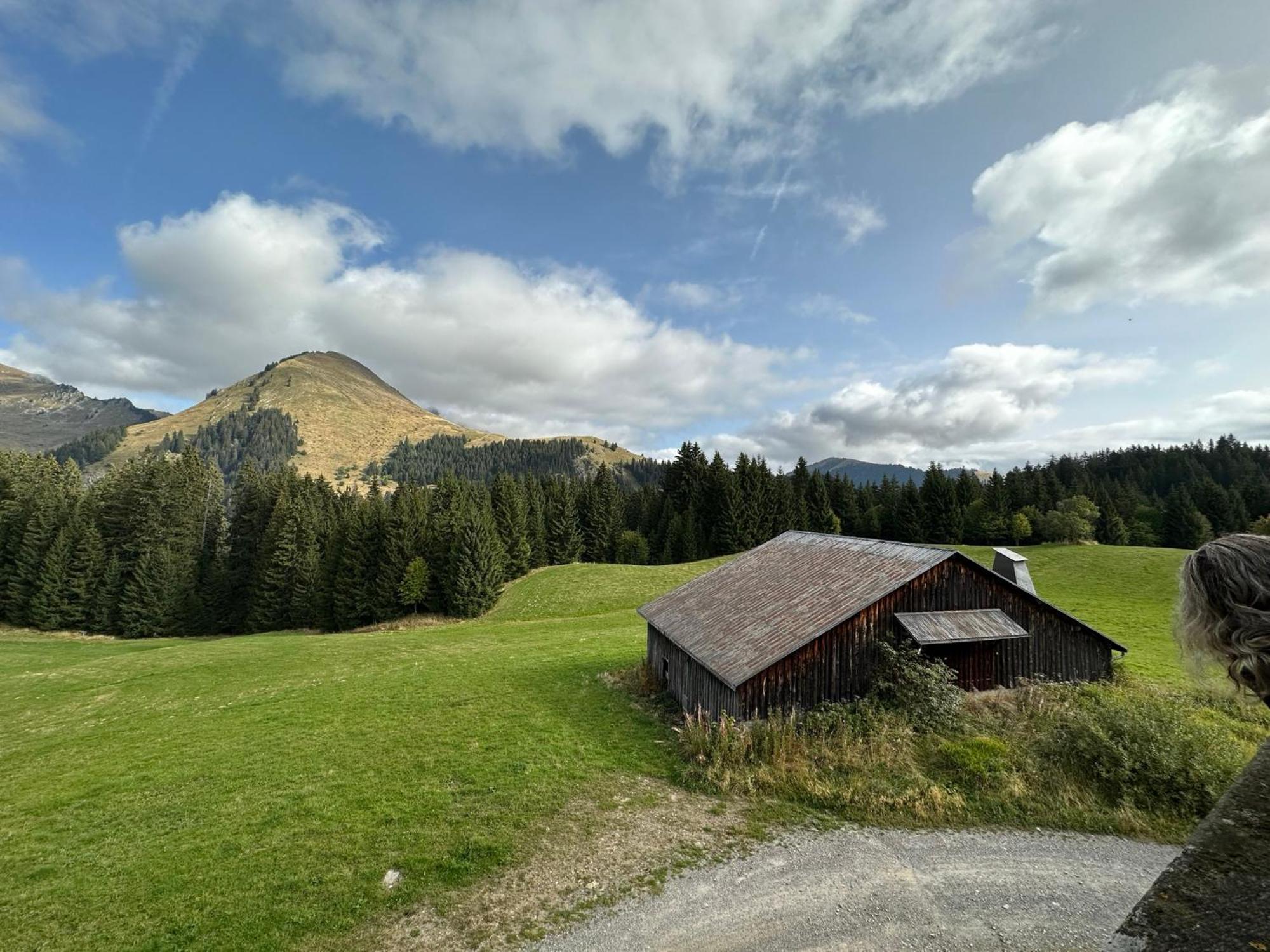 Studio Au Coeur Du Praz-De-Lys - Les Pralyssimes ル・プラ・ド・リ エクステリア 写真
