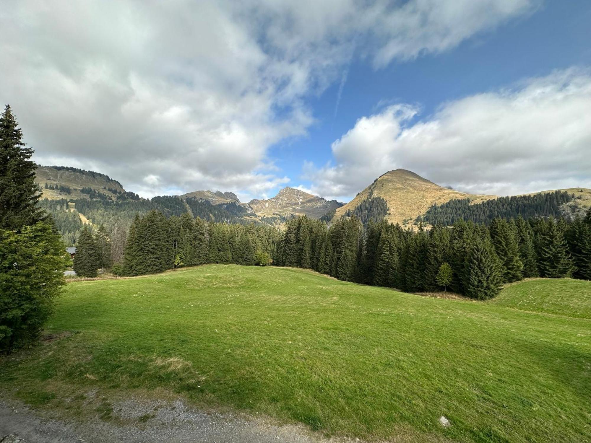 Studio Au Coeur Du Praz-De-Lys - Les Pralyssimes ル・プラ・ド・リ エクステリア 写真