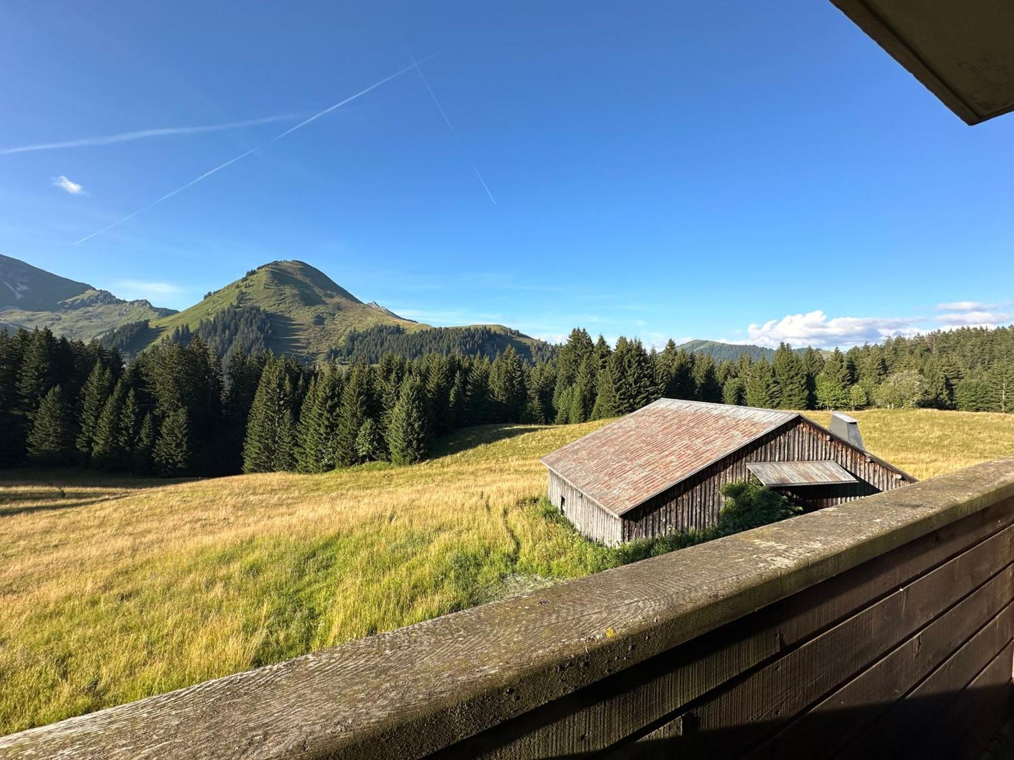 Studio Au Coeur Du Praz-De-Lys - Les Pralyssimes ル・プラ・ド・リ エクステリア 写真