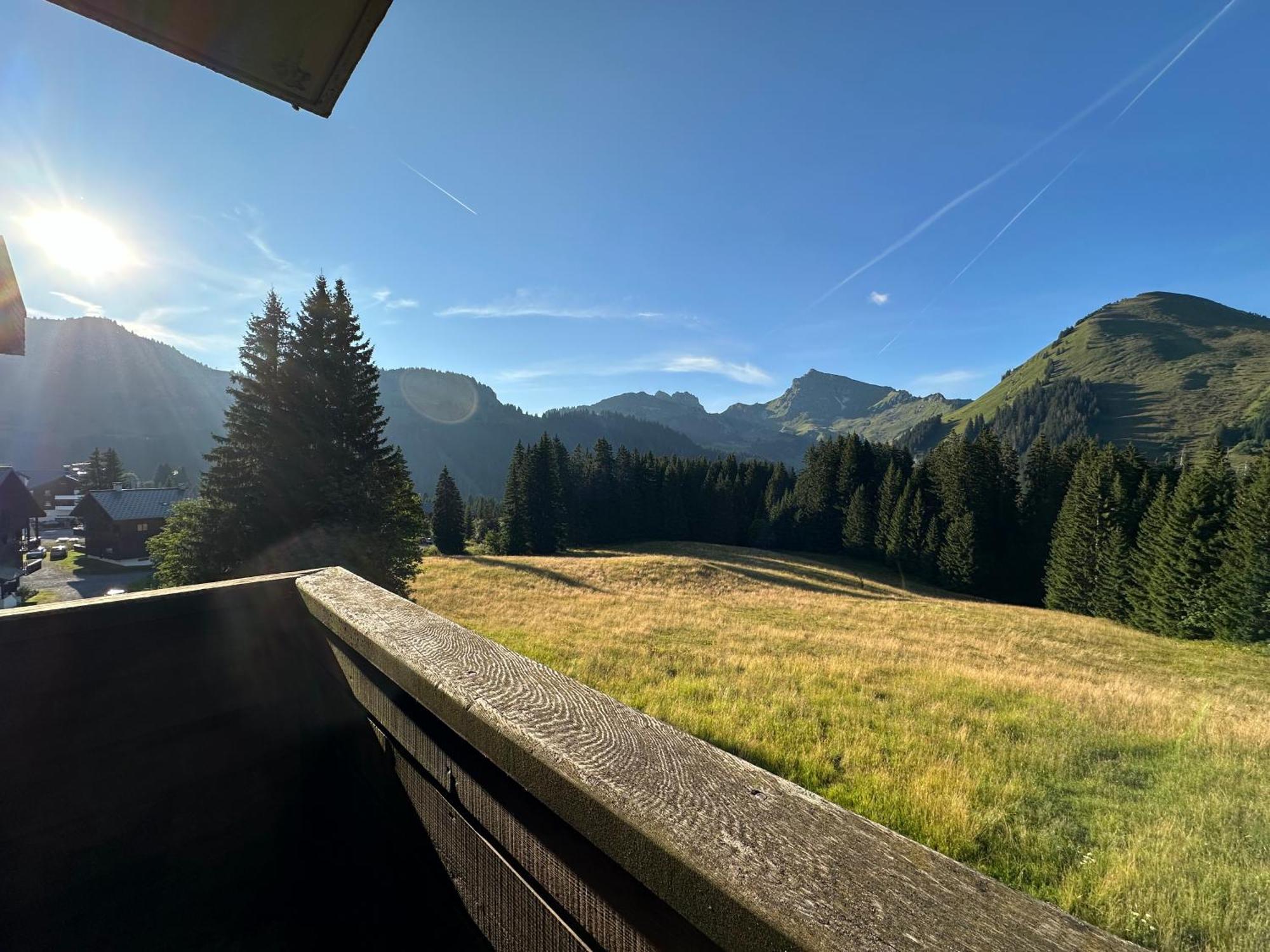 Studio Au Coeur Du Praz-De-Lys - Les Pralyssimes ル・プラ・ド・リ エクステリア 写真
